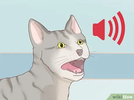 Image intitulée Tell if Your Cat Is Depressed Step 5