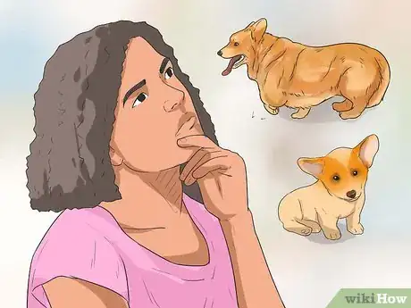 Image intitulée Choose Between a Shelter or a Breeder Dog Step 1