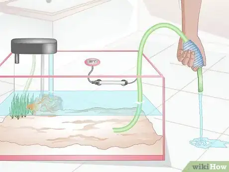 Image intitulée Cure Goldfish Dropsy Step 8