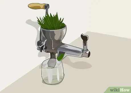 Image intitulée Juice Wheatgrass Step 11