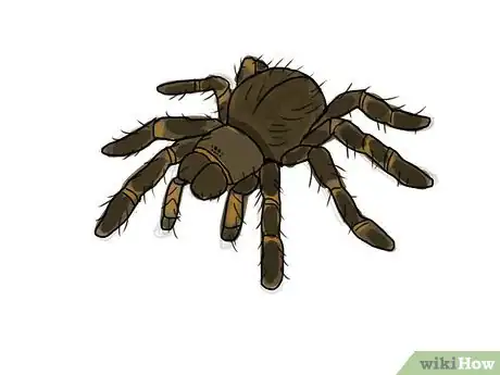 Image intitulée Draw a Spider Step 10