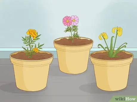 Image intitulée Grow Plants Faster Step 11