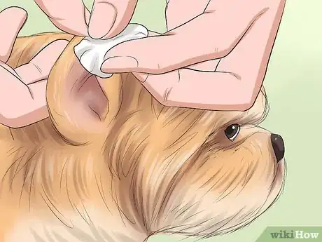 Image intitulée Bathe a Shih Tzu Puppy Step 14