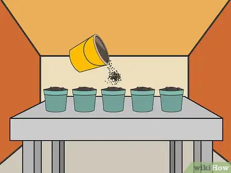 Image intitulée Plant Cannabis Seeds Indoors Step 11