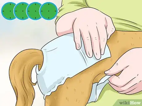 Image intitulée Keep Diapers on a Dog Step 15
