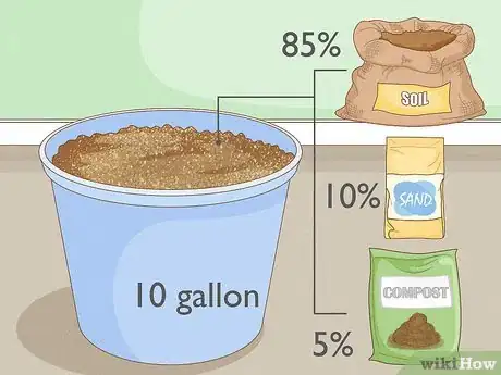 Image intitulée Grow a Moringa Tree Step 3