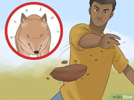 Image intitulée Survive a Coyote Attack Step 10