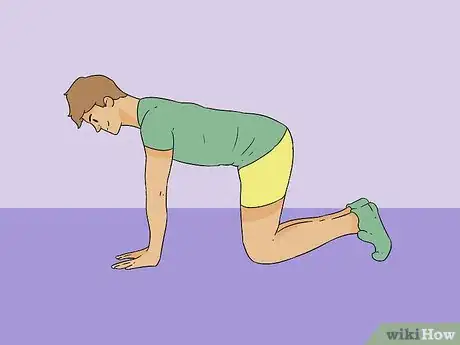 Image intitulée Perform the Plank Exercise Step 8