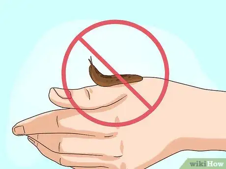 Image intitulée Care for Slugs Step 10