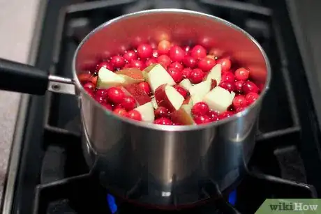 Image intitulée Make Fresh Cranberry Juice Step 3