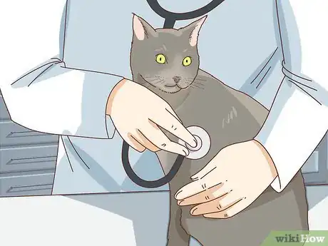 Image intitulée Tell if Your Cat Is Depressed Step 1