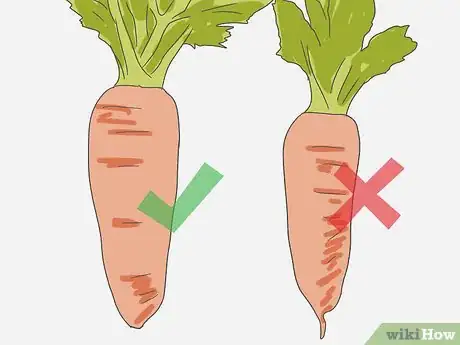 Image intitulée Select Carrots Step 1