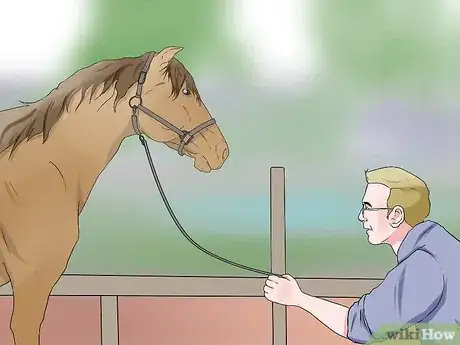 Image intitulée Plait a Horse's Tail Step 1