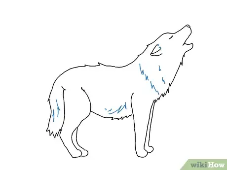 Image intitulée Draw a Wolf Step 16