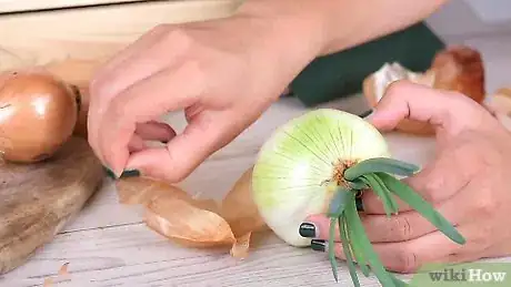 Image intitulée Plant Sprouted Onions Step 1