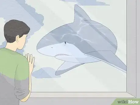 Image intitulée Get over Your Fear of Sharks Step 11