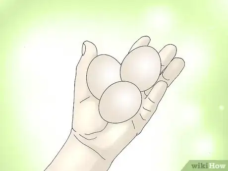 Image intitulée Hatch a Goose Egg Step 2
