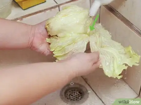 Image intitulée Shred Lettuce Step 18