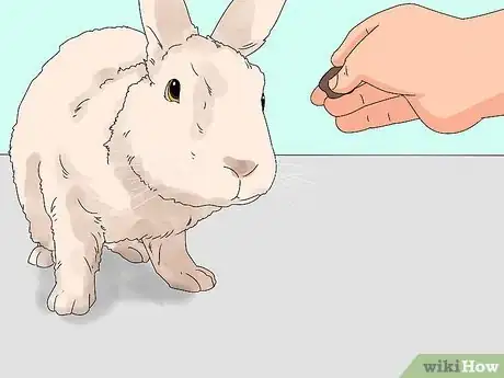 Image intitulée Pick up a Rabbit Step 16