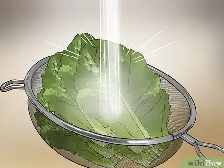 Image intitulée Harvest Romaine Lettuce Step 6