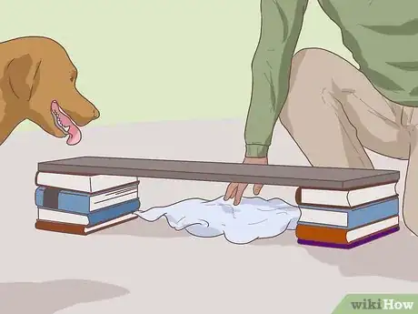 Image intitulée Test a Dog's Intelligence Step 5