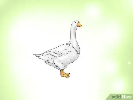Image intitulée Hatch a Goose Egg Step 4