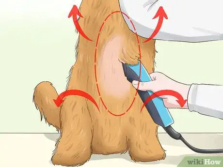 Image intitulée Trim the Coat of a Long Hair Dog Step 8