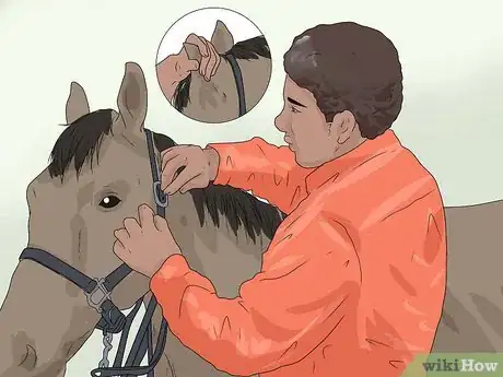 Image intitulée Approach Your Horse Step 10