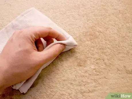 Image intitulée Remove Jam or Jelly Stains from Carpet Step 12