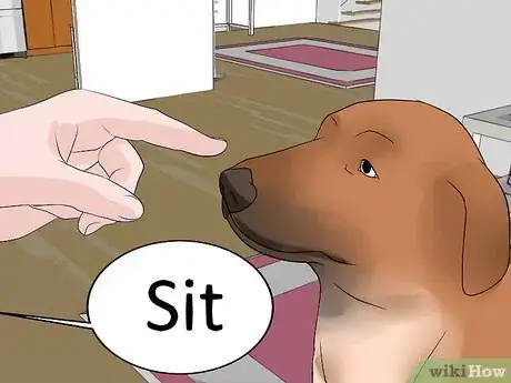 Image intitulée Stop Your Dog from Biting Other People Step 10