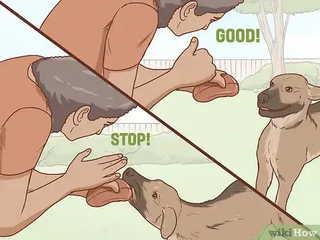Image intitulée Communicate With Your Dog Step 18