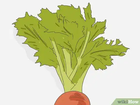 Image intitulée Select Carrots Step 3