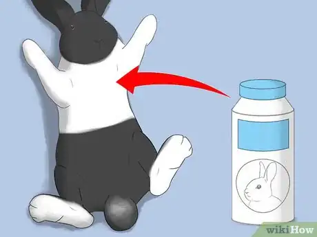 Image intitulée Bathe Your Pet Rabbit Step 12