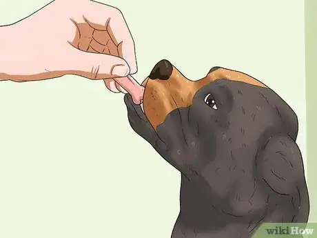 Image intitulée Give Your Large Dog a Bath Step 21