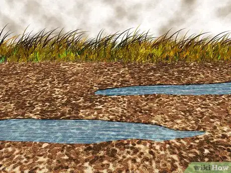 Image intitulée Reduce Stormwater Runoff at Your Home Step 11