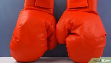 Image intitulée Clean Boxing Gloves Step 9