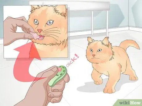 Image intitulée Teach Your Cat to Give a Handshake Step 4