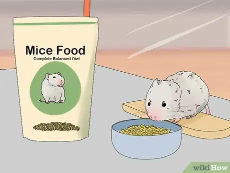 Image intitulée Take Care of Mice Step 7