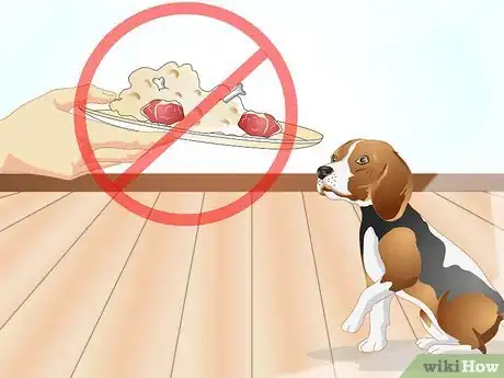 Image intitulée Determine if Your Dog Has Food Allergies Step 6