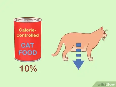 Image intitulée Put Your Cat on a Diet Step 4