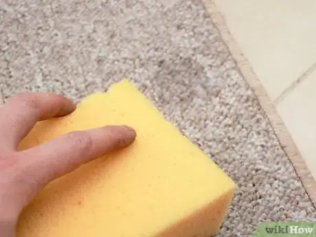 Image intitulée Get Stains Out of Carpet Step 13