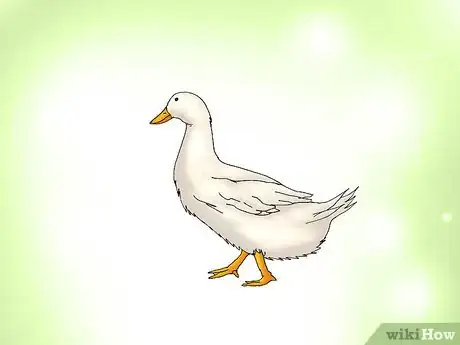 Image intitulée Hatch a Goose Egg Step 8