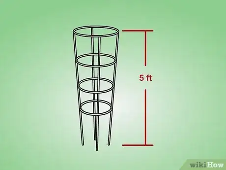 Image intitulée Cage Tomatoes Step 02