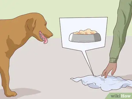 Image intitulée Test a Dog's Intelligence Step 3