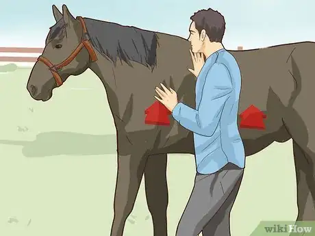 Image intitulée Break a Horse Step 16