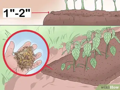 Image intitulée Take Care of Plants Step 8