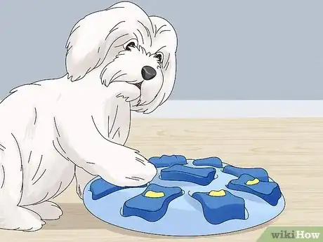 Image intitulée Entertain Your Dog Step 12