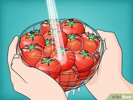 Image intitulée Preserve Tomatoes Step 9