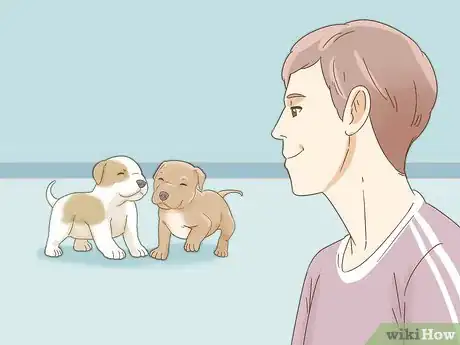 Image intitulée Take Care of a Pitbull Puppy Step 14