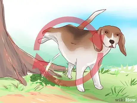 Image intitulée Train Beagles Step 14